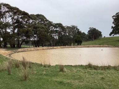 Other (Rural) For Sale - VIC - Korobeit - 3341 - 29.99Ha (approx. 74 acres); Picturesque Grazing Land; Fenced; Views  (Image 2)