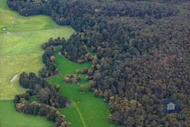 Other (Rural) For Sale - VIC - Carlisle River - 3239 - Discover Your Own Bushland with River Frontage...  (Image 2)