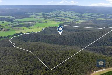 Other (Rural) For Sale - VIC - Carlisle River - 3239 - Discover Your Own Bushland with River Frontage...  (Image 2)