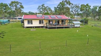 Livestock For Sale - QLD - Majors Creek - 4816 - Beef, Aquaculture & Irrigation Enterprise  (Image 2)