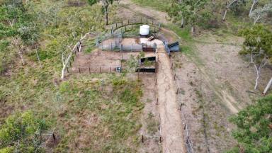 Livestock For Sale - QLD - Majors Creek - 4816 - Beef, Aquaculture & Irrigation Enterprise  (Image 2)