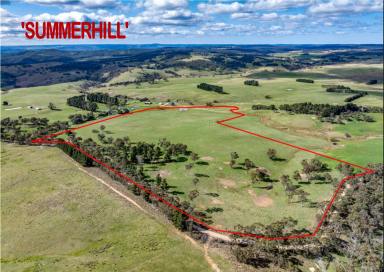 Farmlet For Sale - NSW - Taralga - 2580 - Willow Vale Farms  (Image 2)