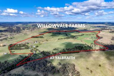 Farmlet For Sale - NSW - Taralga - 2580 - 'WILLOWVALE FARMS' At Yalbraith
3 LOTS SOLD, 3 REMAINING!!  (Image 2)