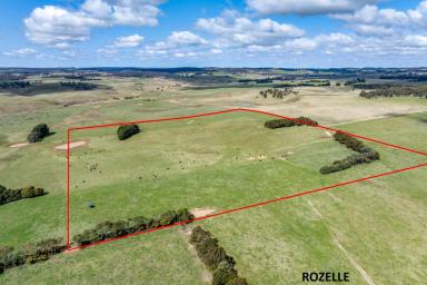 Farmlet For Sale - NSW - Taralga - 2580 - 'Willowvale' Farms - Rozelle & Bronte  (Image 2)