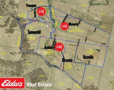 Farmlet For Sale - NSW - Taralga - 2580 - 'WILLOWVALE FARMS' At Yalbraith
3 LOTS SOLD, 3 REMAINING!!  (Image 2)