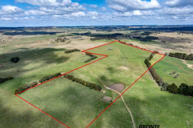 Farmlet For Sale - NSW - Taralga - 2580 - 'Willowvale' Farms - Rozelle & Bronte  (Image 2)