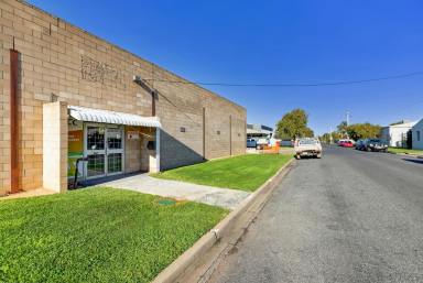 Industrial/Warehouse For Lease - VIC - Mildura - 3500 - INDUSTRIAL SHED/WAREHOUSE IN ALMOND  (Image 2)