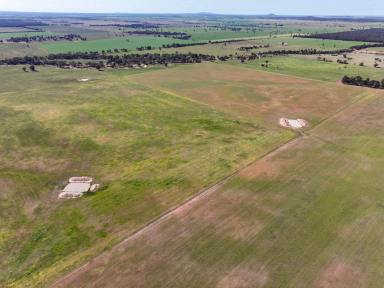 Mixed Farming For Sale - NSW - West Wyalong - 2671 - Broadacre Mixed Farming with Scale  (Image 2)