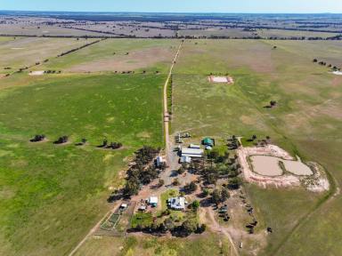 Mixed Farming For Sale - NSW - West Wyalong - 2671 - Regenerative Ag Opportunity  (Image 2)
