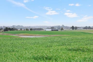 Livestock For Sale - VIC - Carngham - 3351 - EXCEPTIONAL BALLARAT DISTRICT PROPERTY  (Image 2)