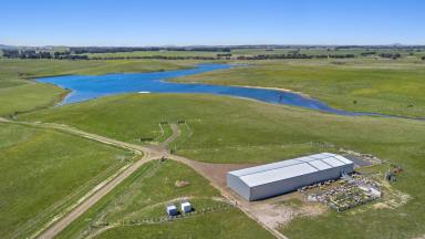 Livestock For Sale - VIC - Carngham - 3351 - EXCEPTIONAL BALLARAT DISTRICT PROPERTY  (Image 2)