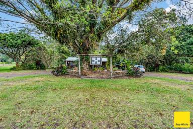 House For Sale - QLD - Lower Daintree - 4873 - A Fantastic Opportunity Awaits!  (Image 2)