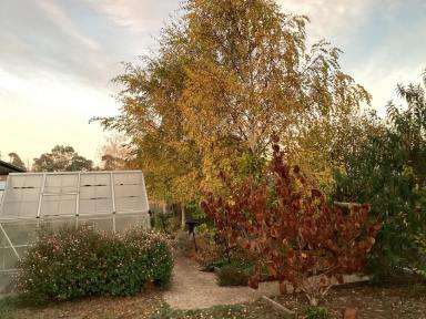 Acreage/Semi-rural For Sale - VIC - Glenlyon - 3461 - Motivated Vendor - Make Us An Offer!  (Image 2)