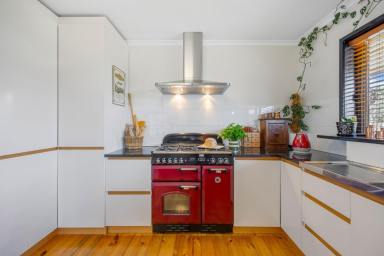 Acreage/Semi-rural For Sale - VIC - Glenlyon - 3461 - "Escape to Glenlyon Hard-to-Find Acreage with Space to Grow"  (Image 2)