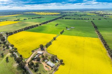 Lifestyle For Sale - NSW - Cowra - 2794 - Beautiful Country Home, Set On 110acres* Of Prime Land & Income!  (Image 2)