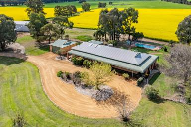 Lifestyle For Sale - NSW - Cowra - 2794 - Beautiful Country Home, Set On 110acres* Of Prime Land & Income!  (Image 2)