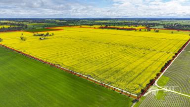 Cropping For Sale - SA - Mundulla - 5270 - Productive land with the versatility of a 300 megalitre underground water allocation.  (Image 2)