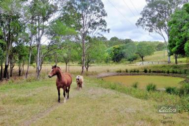 Residential Block For Sale - QLD - Netherby - 4650 - THE ULTIMATE PROPERTY FOR LIFESTYLE LIVING!  (Image 2)