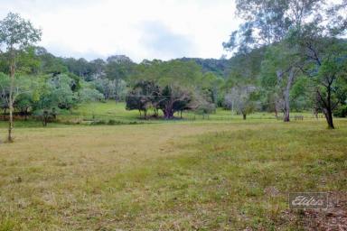 Residential Block For Sale - QLD - Netherby - 4650 - PRIVACY & ENDLESS POSSIBILITIES ON OVER 8 ACRES OF PRIME COUNTRY LAND!  (Image 2)