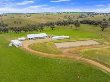 Mixed Farming For Sale - NSW - Young - 2594 - Modern New Home On 156acs With Excellent Infrastructure  (Image 2)