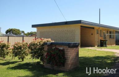 Unit For Lease - NSW - Inverell - 2360 - Tidy Brick Unit, Close to Corner Store  (Image 2)