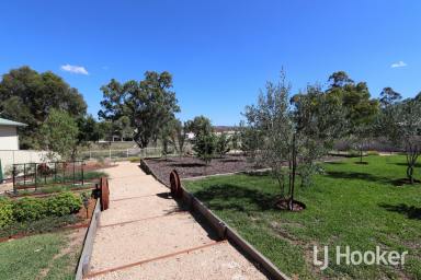 Unit For Lease - NSW - Inverell - 2360 - 2 Bedroom Brick Unit on Ross Hill  (Image 2)