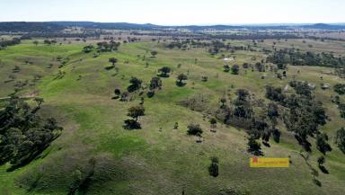 Lifestyle For Sale - NSW - Mudgee - 2850 - 'MARBIL PARK'  (Image 2)