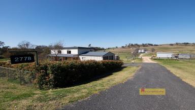 Lifestyle For Sale - NSW - Mudgee - 2850 - 'MARBIL PARK'  (Image 2)