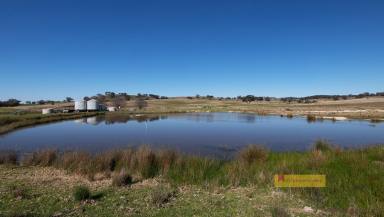 Lifestyle For Sale - NSW - Mudgee - 2850 - 'MARBIL PARK'  (Image 2)