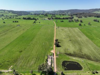 Mixed Farming For Sale - WA - Brunswick - 6224 - First Time Offered In 84 Years!  (Image 2)