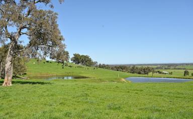 Mixed Farming For Sale - WA - Brunswick - 6224 - First Time Offered In 84 Years!  (Image 2)