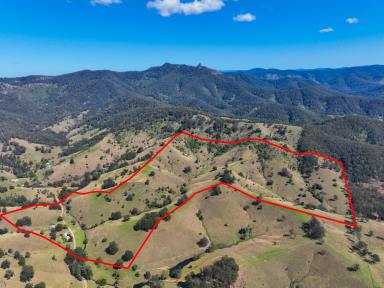 Lifestyle For Sale - NSW - Wherrol Flat - 2429 - Motivated Seller!  (Image 2)