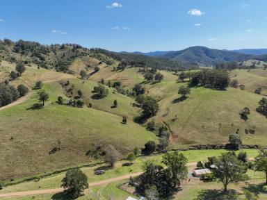Lifestyle For Sale - NSW - Wherrol Flat - 2429 - Motivated Seller!  (Image 2)
