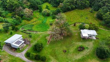 House For Sale - QLD - Lower Daintree - 4873 - A Stunningly Picturesque Queenslander Meets Sophisticated Farmhouse Cottage on 30.44ha with Sprawling Views!  (Image 2)