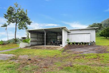 House For Sale - QLD - Lower Daintree - 4873 - A Stunningly Picturesque Queenslander Meets Sophisticated Farmhouse Cottage on 30.44ha with Sprawling Views!  (Image 2)