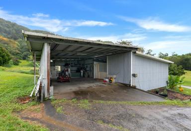 House For Sale - QLD - Lower Daintree - 4873 - A Stunningly Picturesque Queenslander Meets Sophisticated Farmhouse Cottage on 30.44ha with Sprawling Views!  (Image 2)