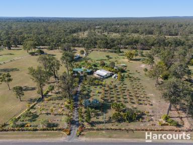 House For Sale - QLD - Torbanlea - 4662 - Submitting all offers for consideration!  (Image 2)