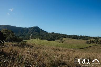 Other (Rural) For Sale - NSW - Wiangaree - 2474 - 100 Acre Lot  (Image 2)