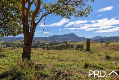 Lifestyle For Sale - NSW - Wiangaree - 2474 - Picturesque Small Farm Lot  (Image 2)