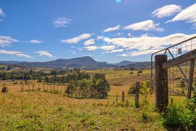 Lifestyle For Sale - NSW - Wiangaree - 2474 - Picturesque Small Farm Lot  (Image 2)