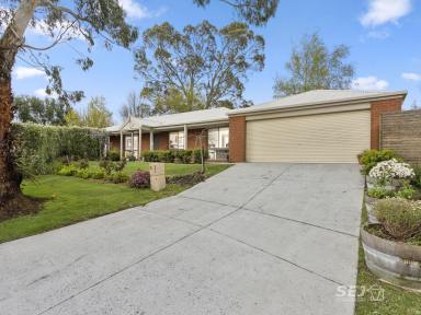 House For Sale - VIC - Korumburra - 3950 - Welcome to 5 Dowel Court, Korumburra.  (Image 2)