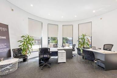 Office(s) For Sale - NSW - Surry Hills - 2010 - Modern Office or Shop Strata Title 35 sq mtrtes + 18 sq mtres courtyard  (Image 2)