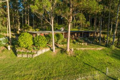 Lifestyle For Sale - NSW - Topi Topi - 2423 - A peaceful coastal bush retreat  (Image 2)