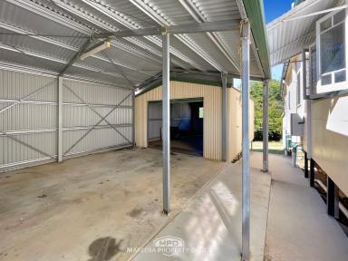 House For Sale - QLD - Mareeba - 4880 - FAMILY HOME CLOSE TO TOWN, WITH EXTRAS!  (Image 2)