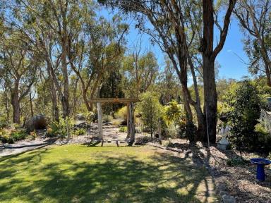 House For Sale - QLD - Stanthorpe - 4380 - “A property dreams are made of”  (Image 2)