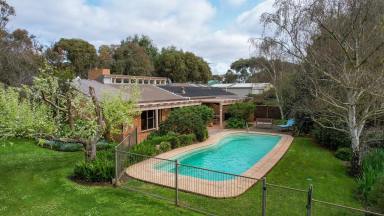 Lifestyle For Sale - VIC - Strathkellar - 3301 - For Sale - As a Whole or in 2 Lots  (Image 2)