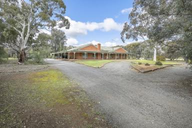 House Sold - VIC - Swan Hill - 3585 - Stunning Rural Retreat  (Image 2)