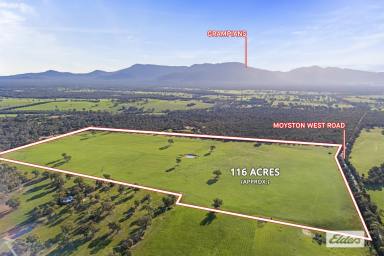 Lifestyle For Sale - VIC - Moyston - 3377 - Stunning 116 Acre Lifestyle property - Grampians Views  (Image 2)