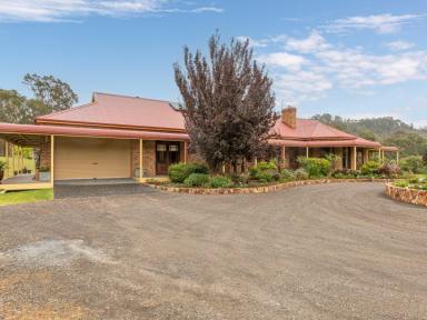 Acreage/Semi-rural For Sale - NSW - Candelo - 2550 - YOU WON'T FIND BETTER!  (Image 2)