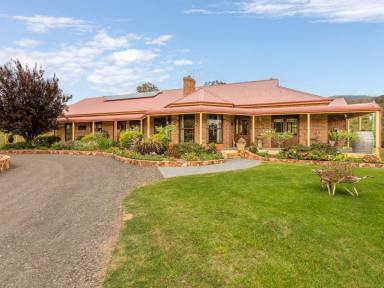 Acreage/Semi-rural For Sale - NSW - Candelo - 2550 - YOU WON'T FIND BETTER!  (Image 2)